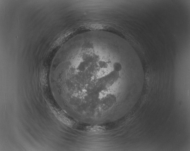 X0000085280359200703161429