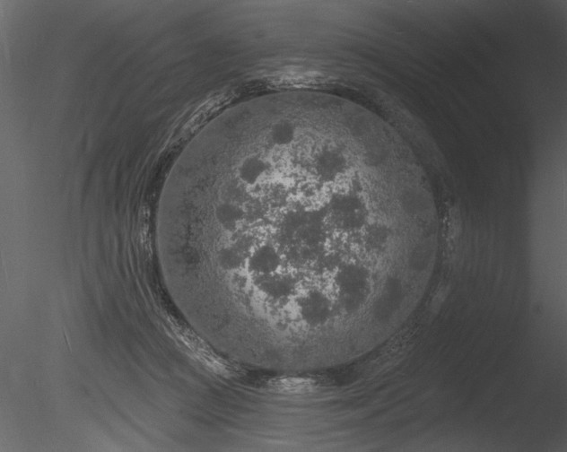 X0000085280361200703161429