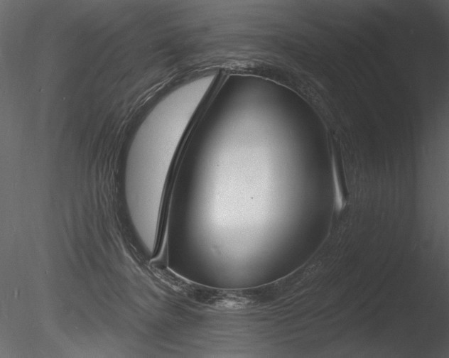 X0000085280364200703161429