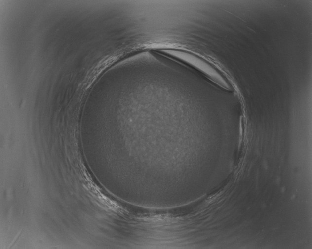X0000085280385200703161429