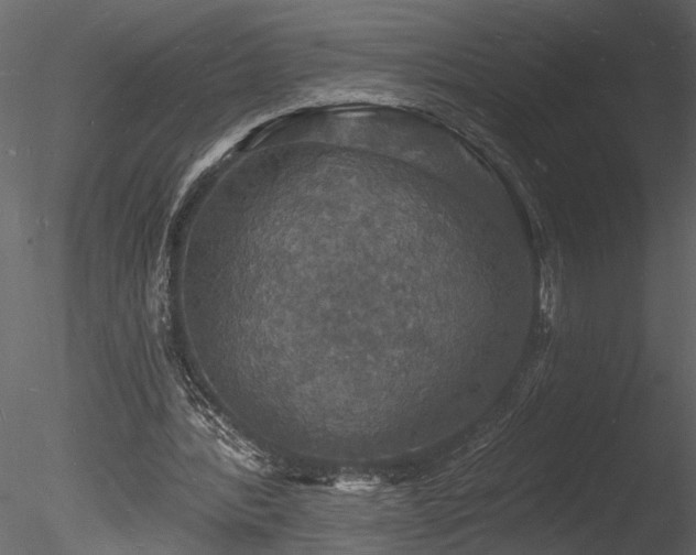 X0000085280388200703161429