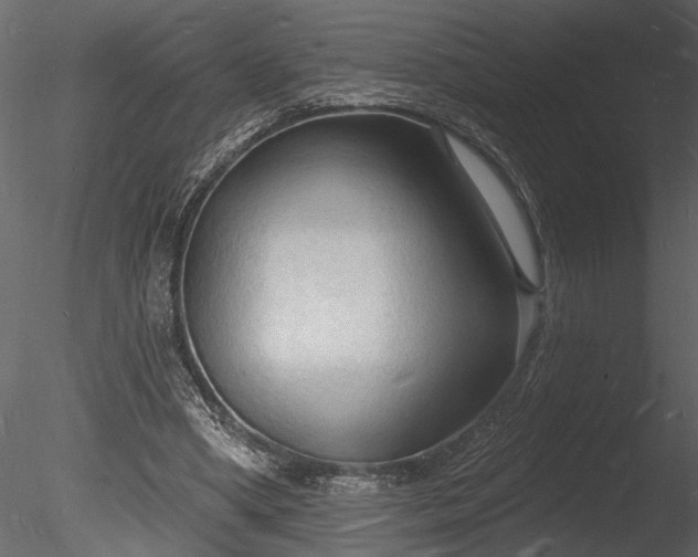 X0000085280394200703161429