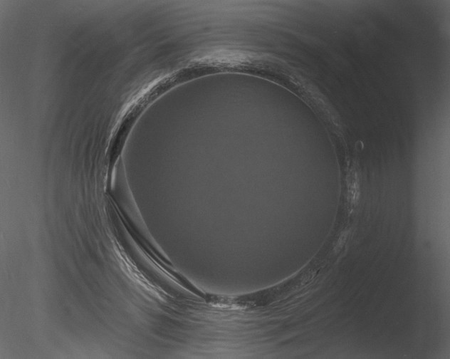 X0000085280399200703161429