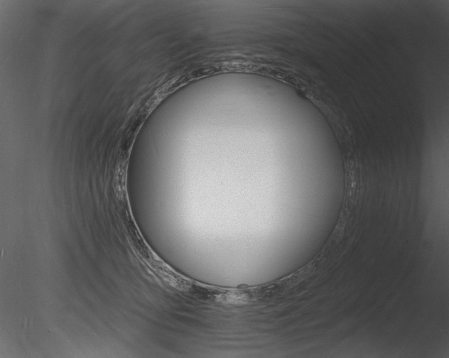 X0000085280419200703161428