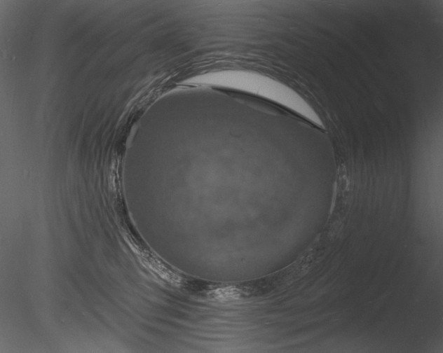 X0000085280423200703161428