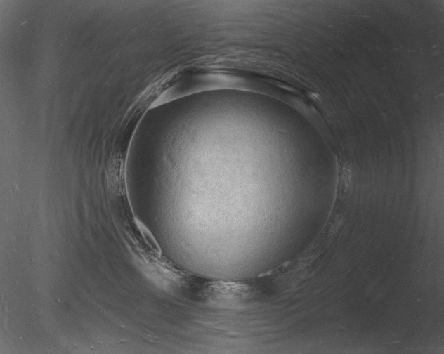 X0000085280429200703161428