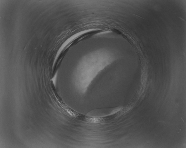 X0000085280432200703161428