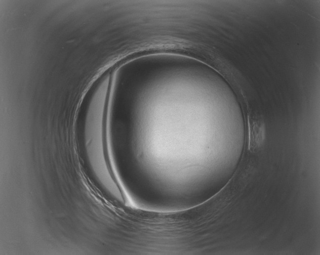 X0000085280435200703161427
