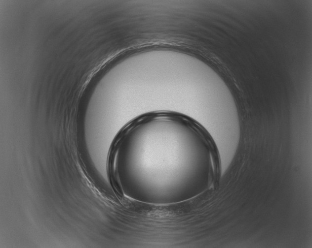 X0000085280444200703161428