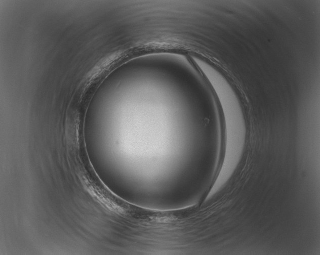 X0000085280446200703161428