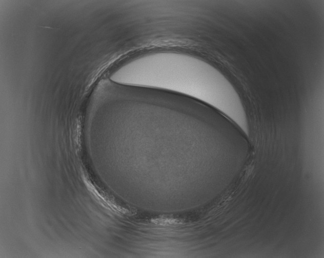 X0000085280448200703161428