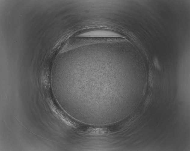 X0000085280449200703161428