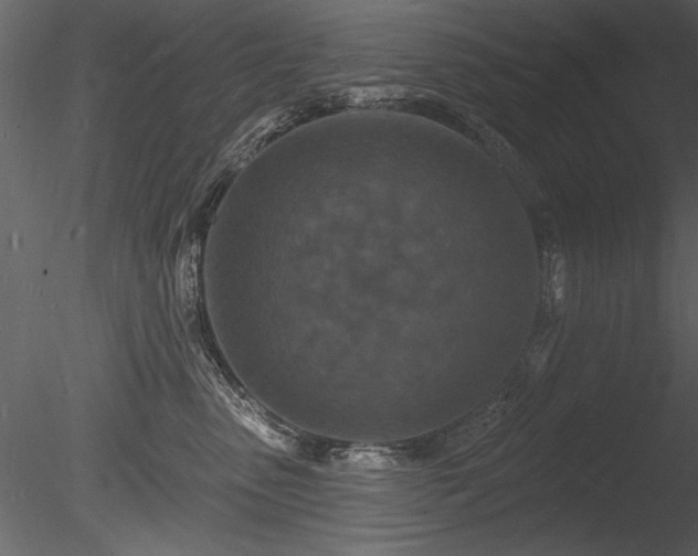 X0000085280475200703161428