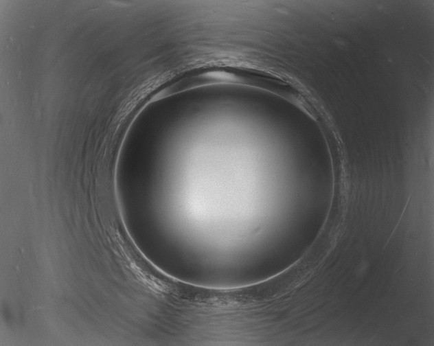 X0000085280481200703161427