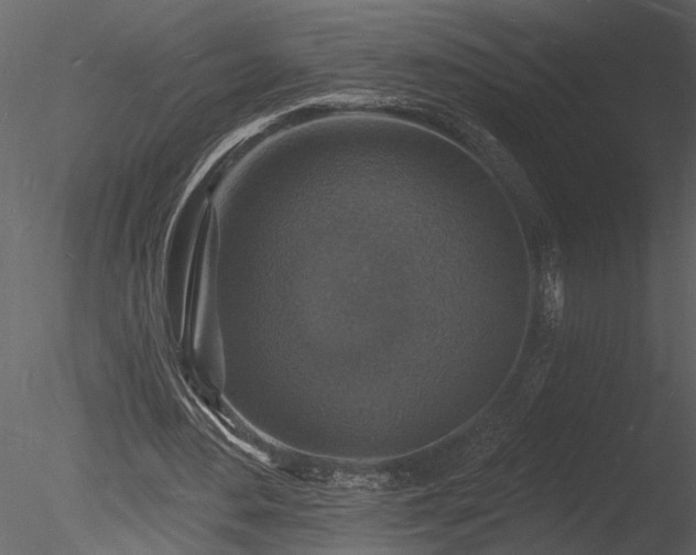 X0000085280484200703161427