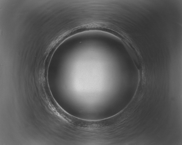 X0000085280485200703161427