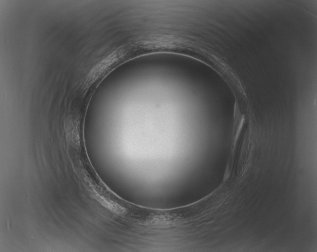 X0000085280489200703161427