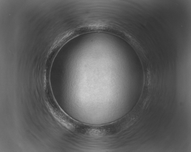 X0000085280494200703161427