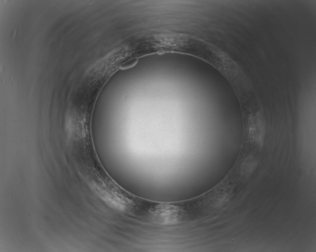 X0000085280514200703161427
