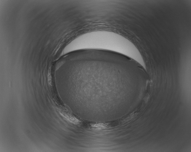 X0000085280516200703161427