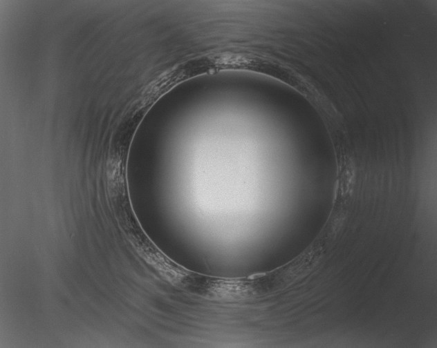 X0000085280521200703161427
