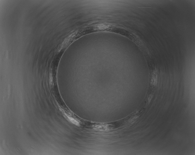 X0000085280524200703161427