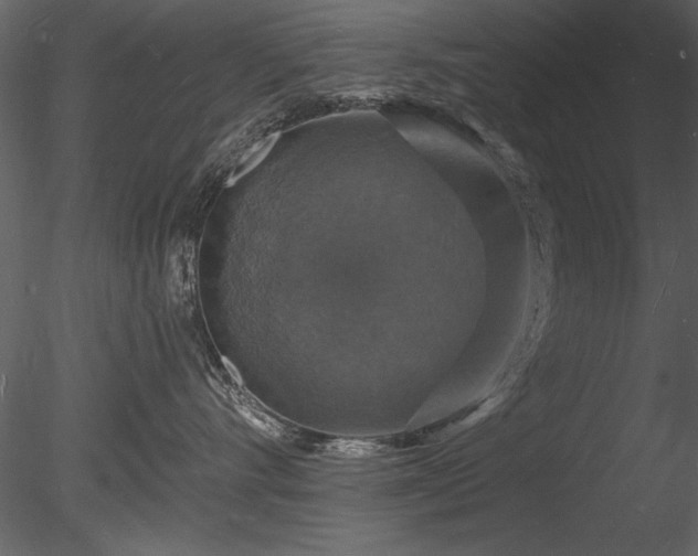 X0000085280528200703161427