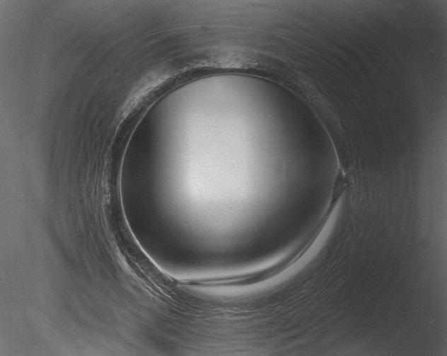 X0000085280536200703161426