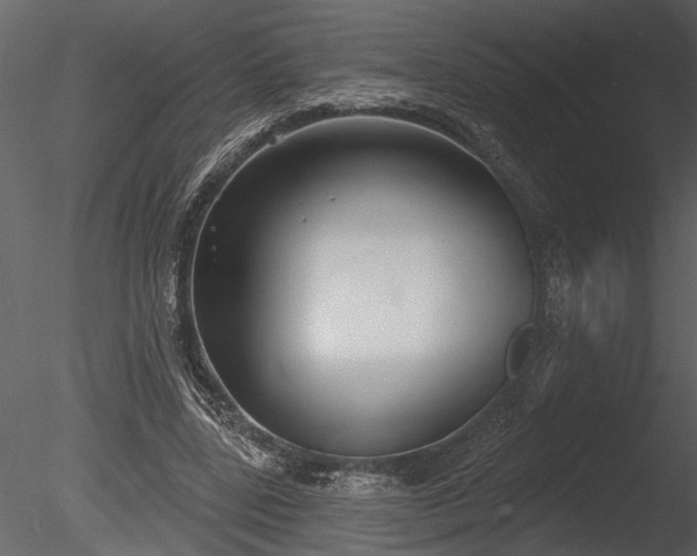 X0000085280539200703161426