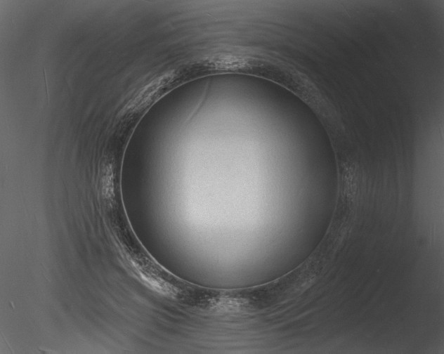 X0000085280549200703161426