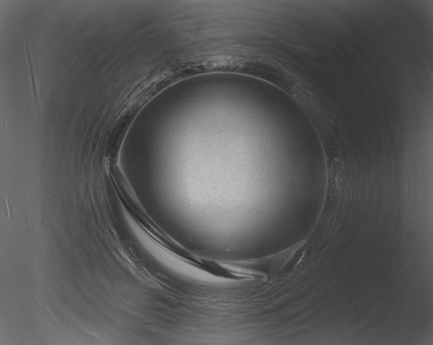 X0000085280550200703161426