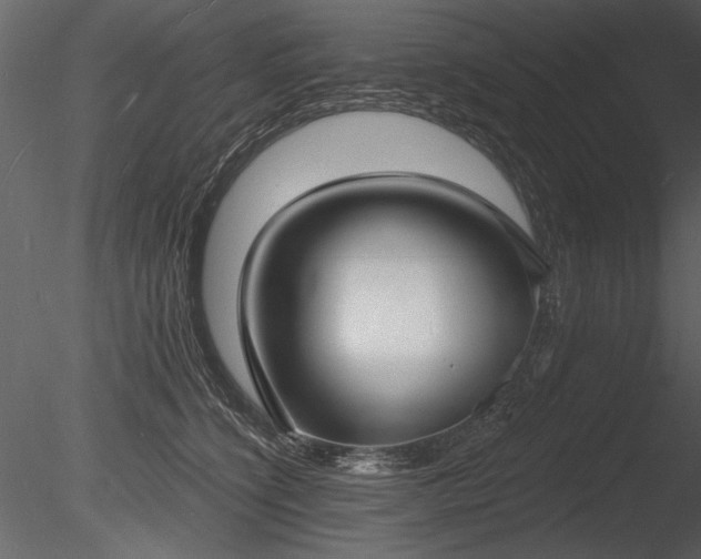 X0000085280564200703161426