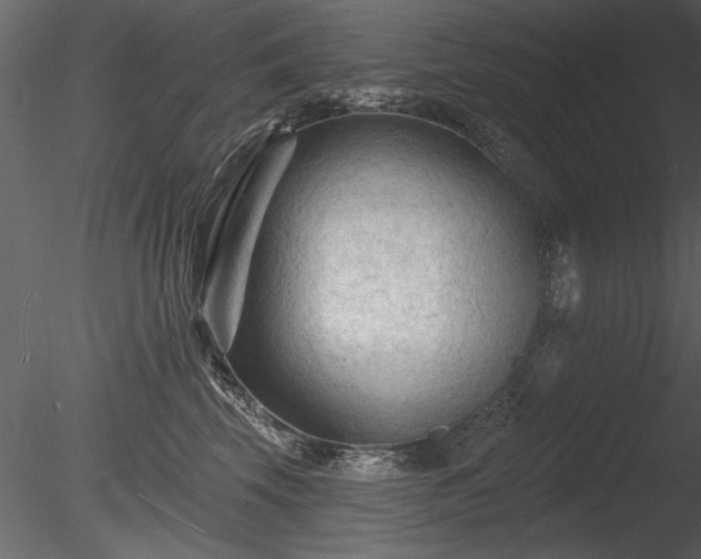 X0000085280569200703161426
