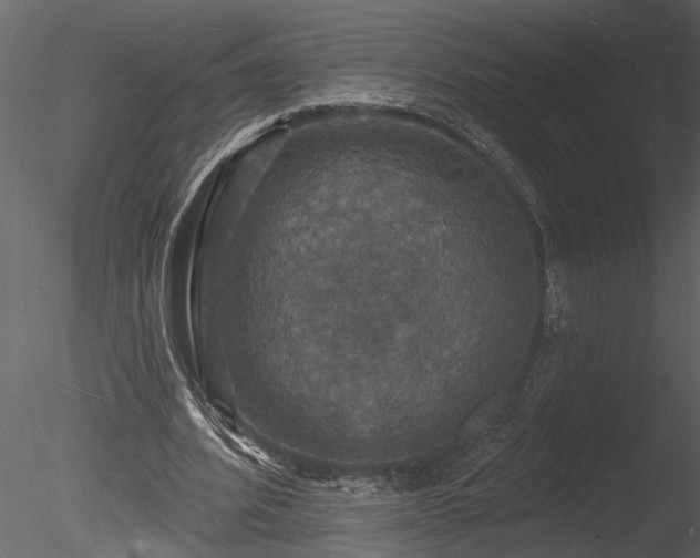 X0000085280580200703161426