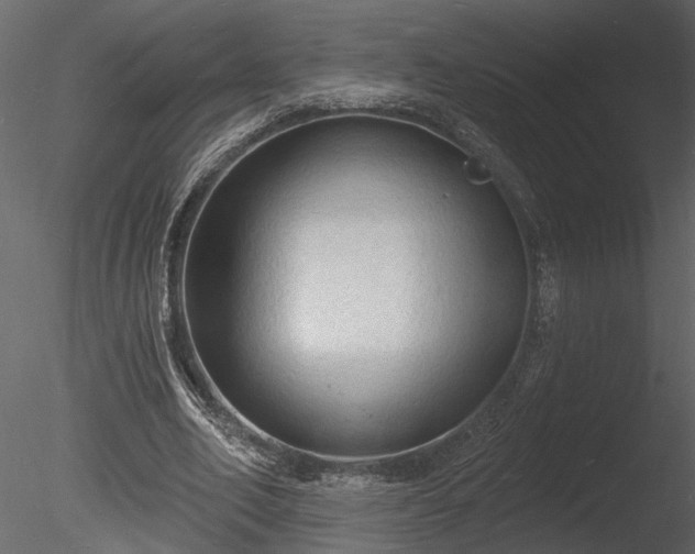 X0000085280582200703161426