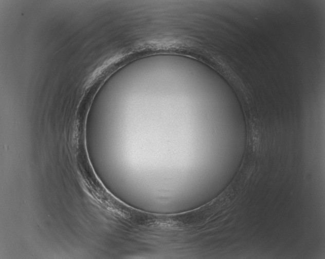 X0000085280583200703161426