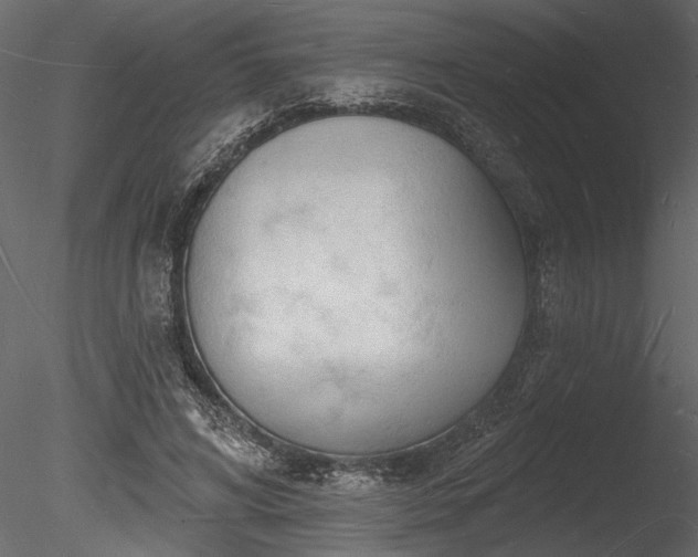 X0000085280592200703161425