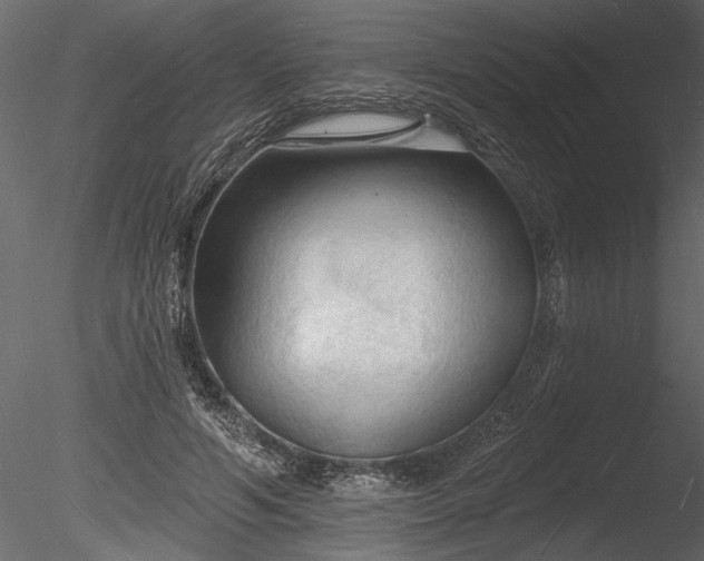 X0000085280594200703161425