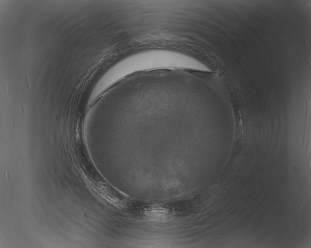 X0000085280598200703161425