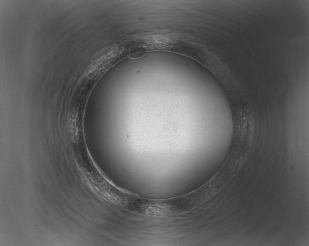 X0000085280599200703161425