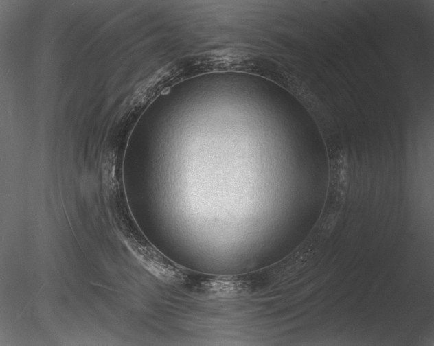 X0000085280615200703161425