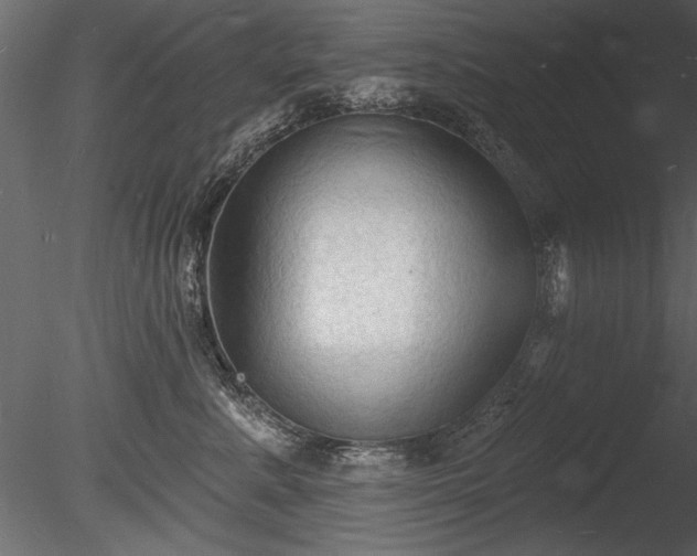 X0000085280619200703161425