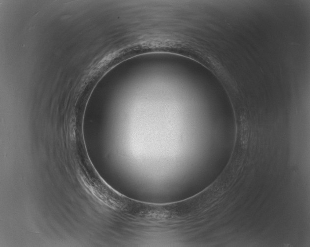 X0000085280631200703161424