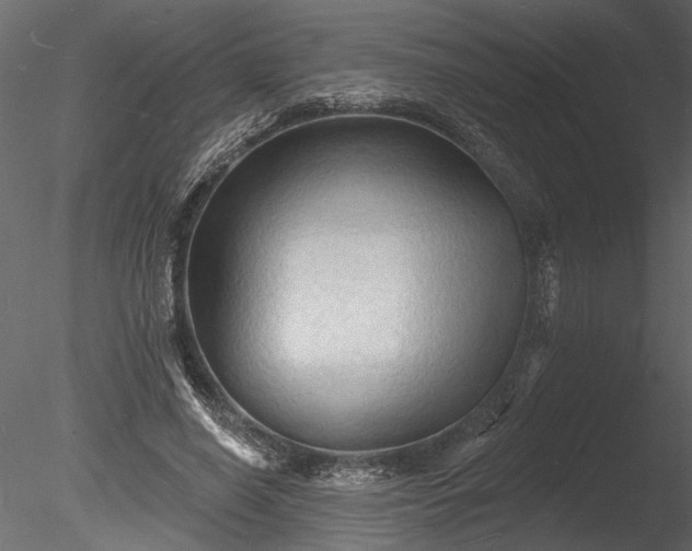 X0000085280638200703161424