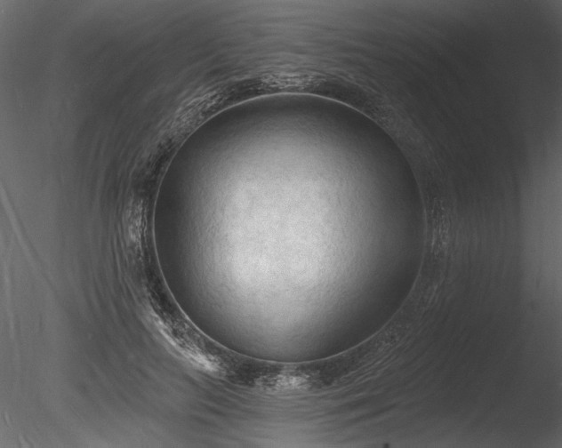 X0000085280647200703161424