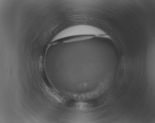 X0000085280650200703161424