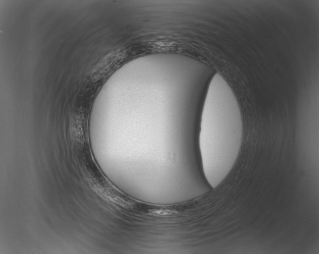 X0000085280654200703161425