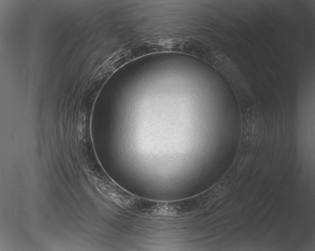 X0000085280656200703161425