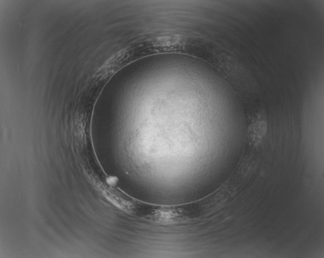 X0000085280662200703161425