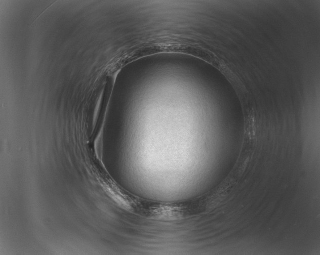 X0000085280664200703161425